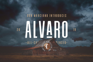 Alvaro Duo: A Modern Sans Serif Font for Web Design