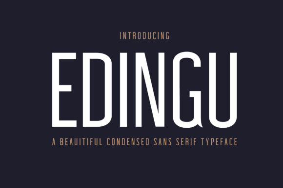Edingu Family: A Modern Sans Serif Font for Web Design