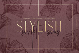 Elevate Your Web Design with the Stylish Duo Typeface