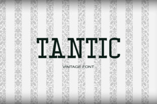Elevate Your Web Design with the Tantic Serif Typeface