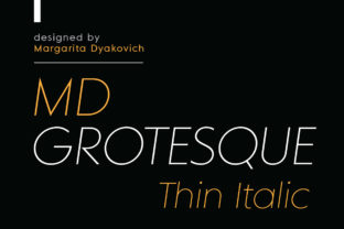 MD Grotesque Thin Italic: The Minimalist Typeface for Modern Brands