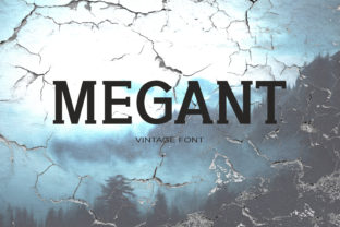 Megant Review: A Serif with Soul for Modern Branding