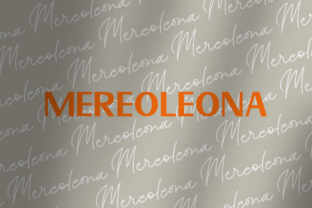 Mereoleona Duo: A Bold Sans Serif Typeface for Web Design