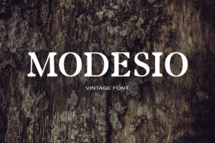Modesio: A Unique Serif Font for Professional Branding
