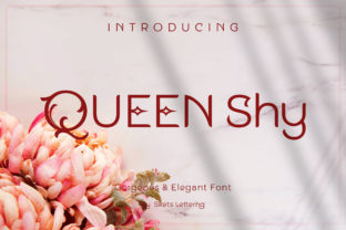 Queen Shy: The Sans Serif Font for Bold Campaigns
