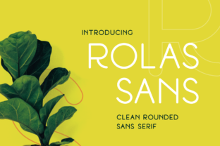 Rolas Sans: The Rounded Typeface That Elevates Small Brands