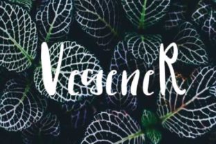 Vegener: A Handwritten Sans Serif Font for Editorial Design